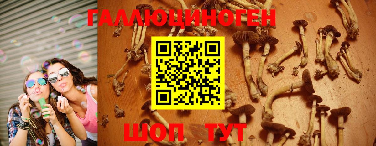 Галлюциногенные грибы MAGIC MUSHROOMS  Вход с VPN  Дедовск 