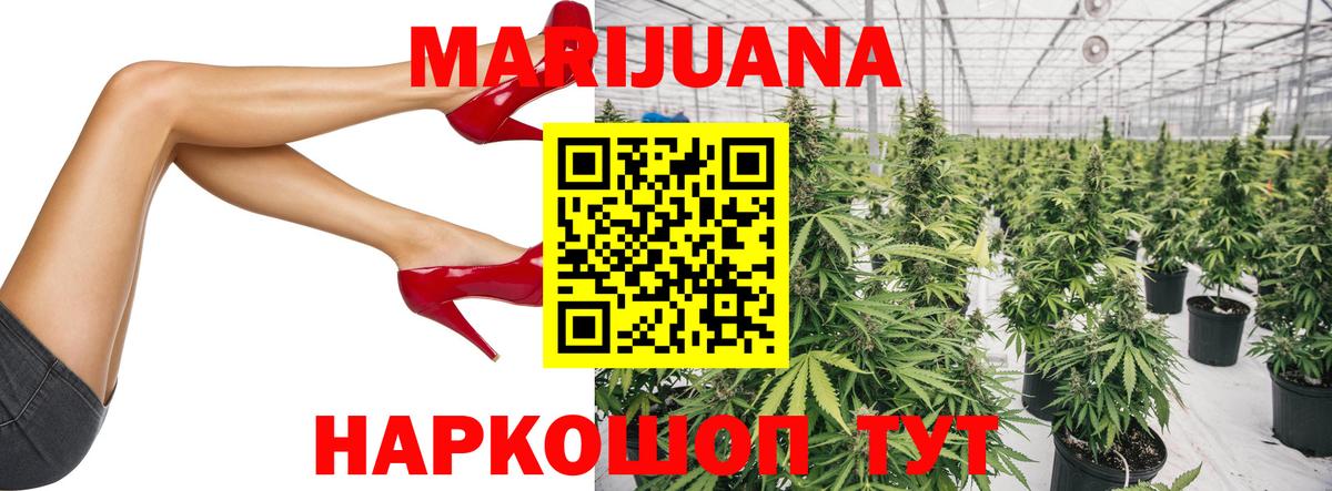 Конопля план Дедовск